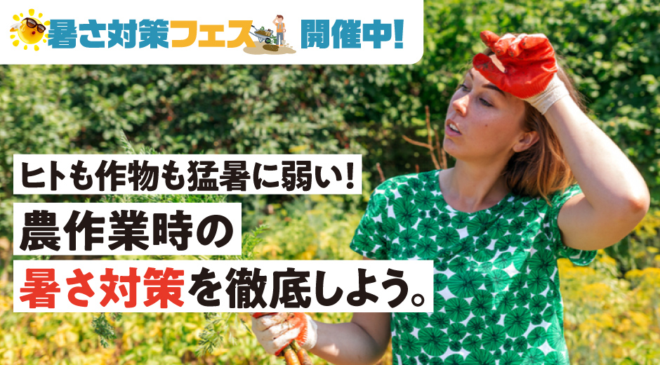 暑さ対策フェス開催中！